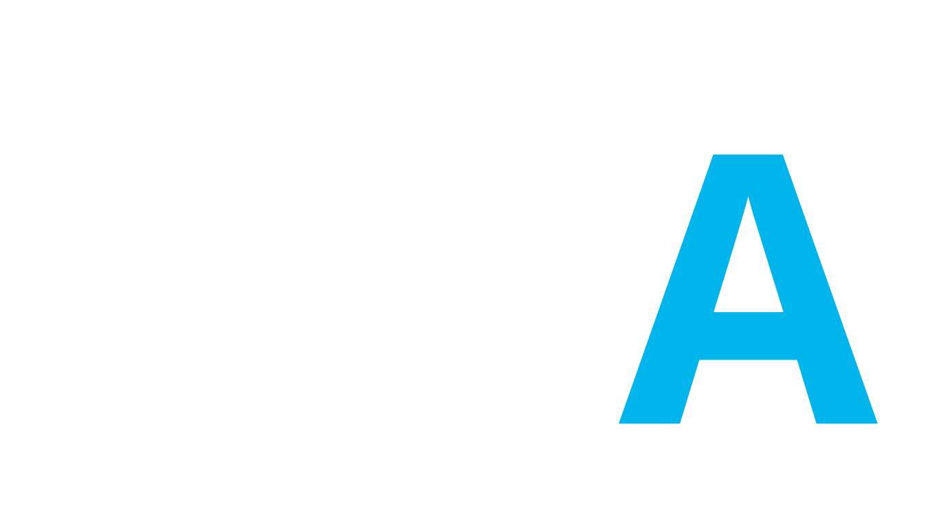 logo Bonneville nettoyage auto - BNA